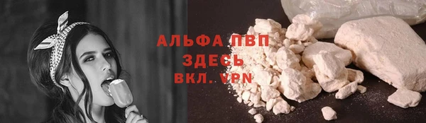 дживик Баксан