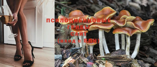 дживик Баксан