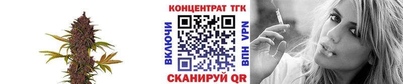 купить Великие Луки Дистиллят ТГК гашишное масло