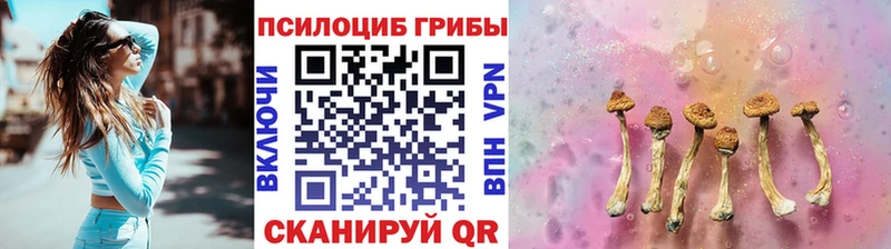 купить наркотик  Великие Луки  Псилоцибиновые грибы ЛСД 
